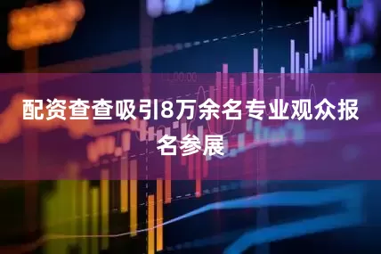 配资查查吸引8万余名专业观众报名参展