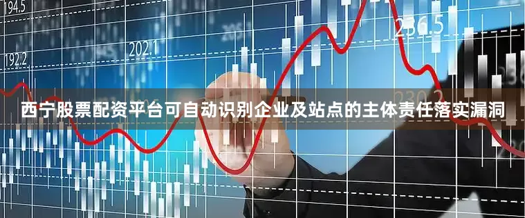 西宁股票配资平台可自动识别企业及站点的主体责任落实漏洞