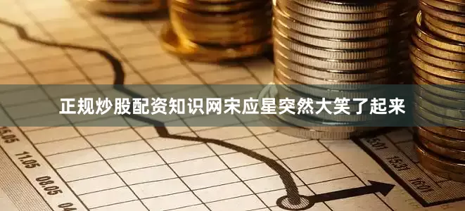 正规炒股配资知识网宋应星突然大笑了起来