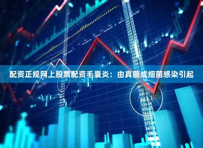 配资正规网上股票配资毛囊炎：由真菌或细菌感染引起